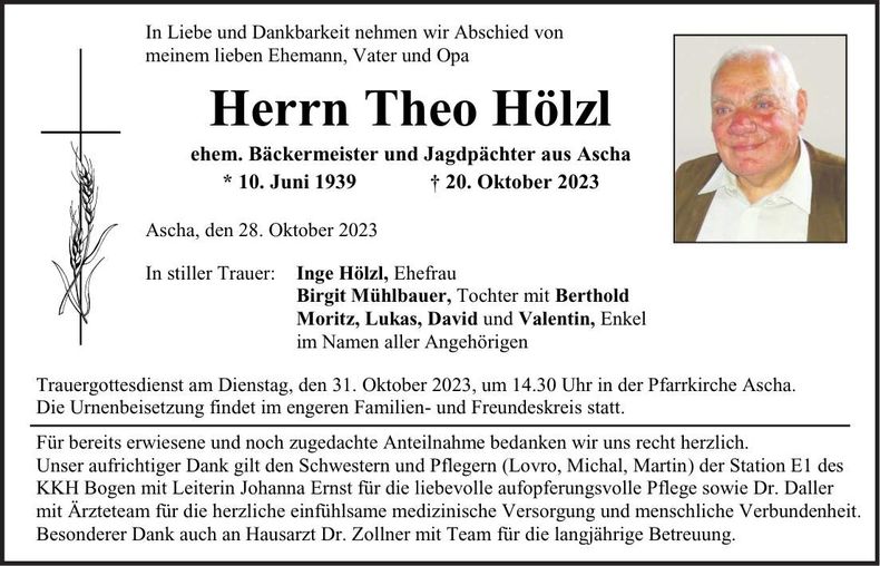 Traueranzeige Theo Hölzl