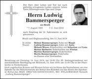 Traueranzeige Ludwig Bammersperger