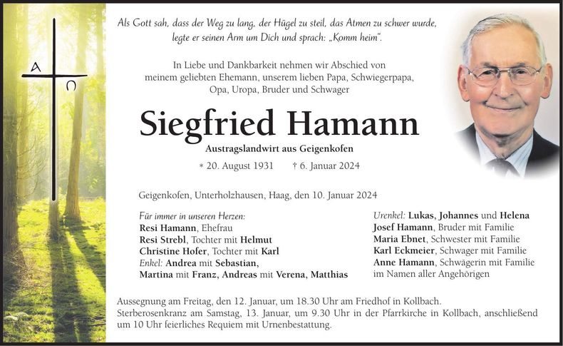 Traueranzeige Siegfried Hamann
